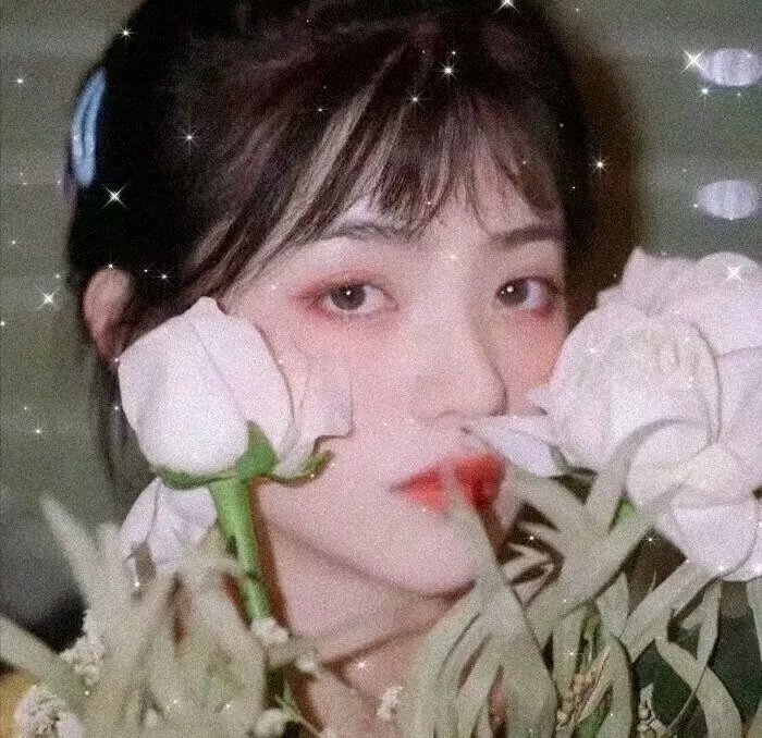 紫禁秘录